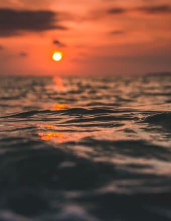 Leonard Wolfe Obituary