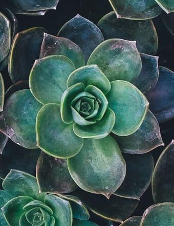 Douglas "Doug" Davidson Obituary